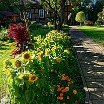 Garten in Lehde