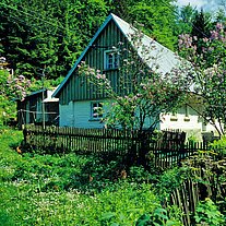 Holzhaus mit Garten