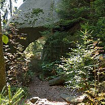 Beim Abstieg am Kibitzstein