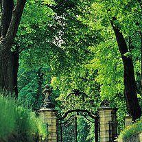 Allee zum Schloss