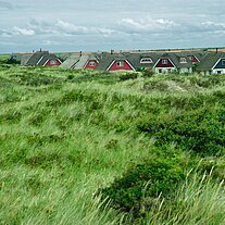 Ferienhäuschen mit Reetdach