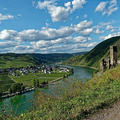 Burg Metternich mit Moseltal