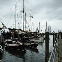 im Hafen von Terschelling