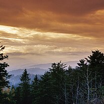 Blick in den Böhmerwald