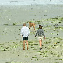 zwei Spaziergänger mit Hund am Strand