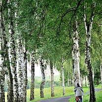 Gaby mit dem Fahrrad in der Birkenallee
