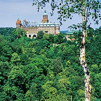Schloss Fürstenstein