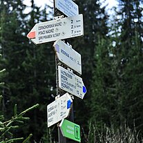 Wegweiser am Lusenbach zum Purstling