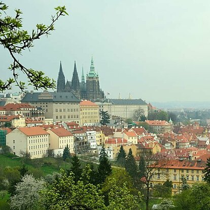 Blick auf den Hradschin