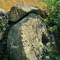 Mühlrad mit Getreide