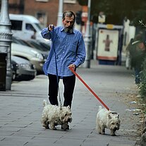 bärtiger Ire führt seine Pudel aus