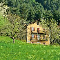 Bauernhof am Gampenpass