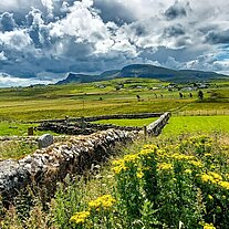 St Molaugs Church und Friedhof