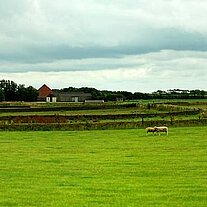 Gehöft und Pferde auf der Weide pano
