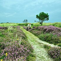 ich sitze in der Heide