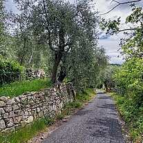 Strasse zu Peters Haus