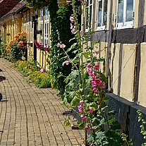 Provstegade Häuserfronten