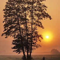 Sonnenaufgang bei Kemnath