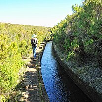 Wandern am Levada do Alecrim