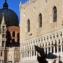 Dogenpalast mit Markuskuppel und Taube