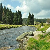 Rachelbach bei Rybarna