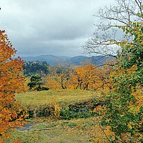 Herbst bei Silberberg