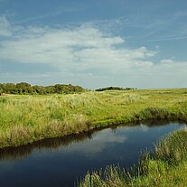 Wasserlauf in den Kobbeduinen