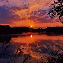 Sonnenaufgang am Rußweiher