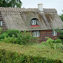 Reethaus mit Hecke und Garten