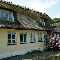 Reet gedecktes Haus mit Pflanzen