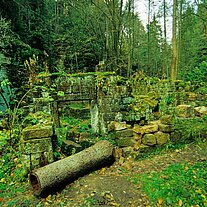 Ruine der Grundmühle