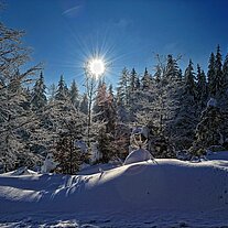 Hessenreuther Wald an der B299