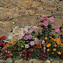 Blumenpracht mit Granitmauer