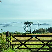 Weide mit Bäumen und Meer