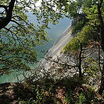 Die Kippen von Møn (Møns Klint)