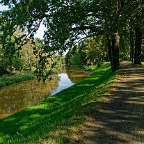 Allee an der Spree