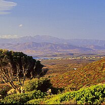 Blick in die Bucht von Olbia
