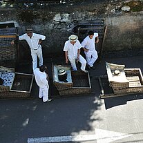 Korbfahrer von Monte