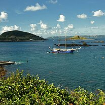 die Zephyr an den Rosaire Steps