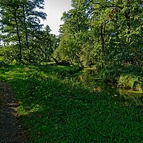 Weg an der Malxe zum Waldhotel Eiche