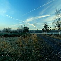 Morgennebel im Truppenübungsplatz