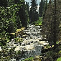 Rachelbach bei der Ahornsäge