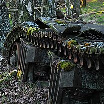 Panzerreste von der Natur zurückerobert