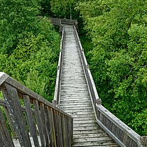 Steg zurück vom Aussichtspunkt